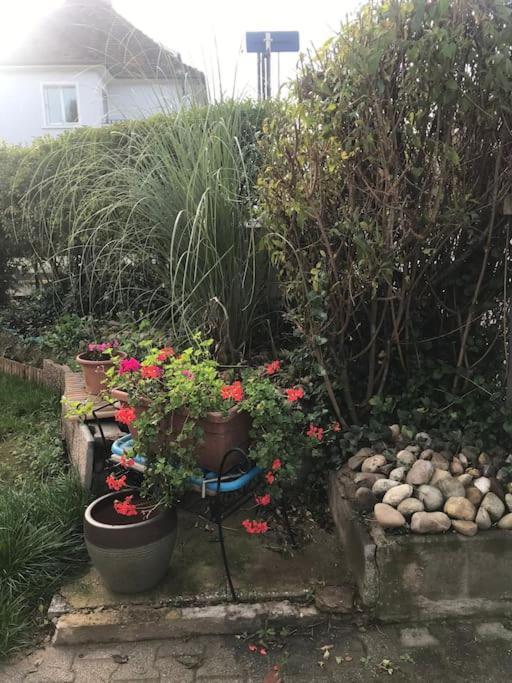 Appartement A La Decouverte De Strasbourg Bischheim Esterno foto